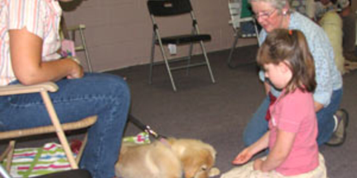 Dog Classes and Programs