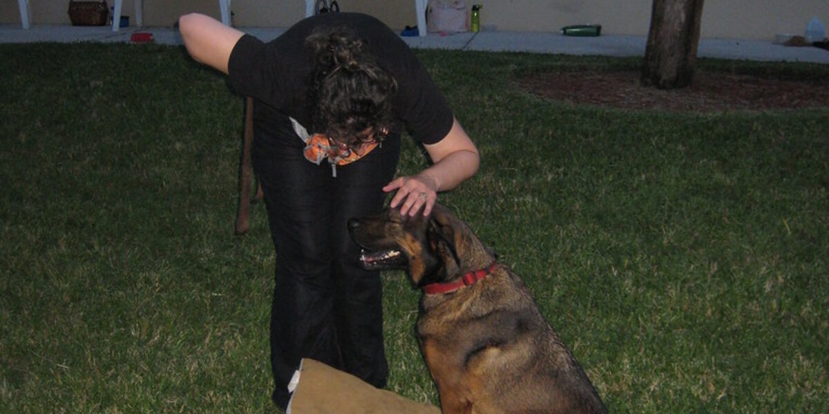 FAQs about Dog Training